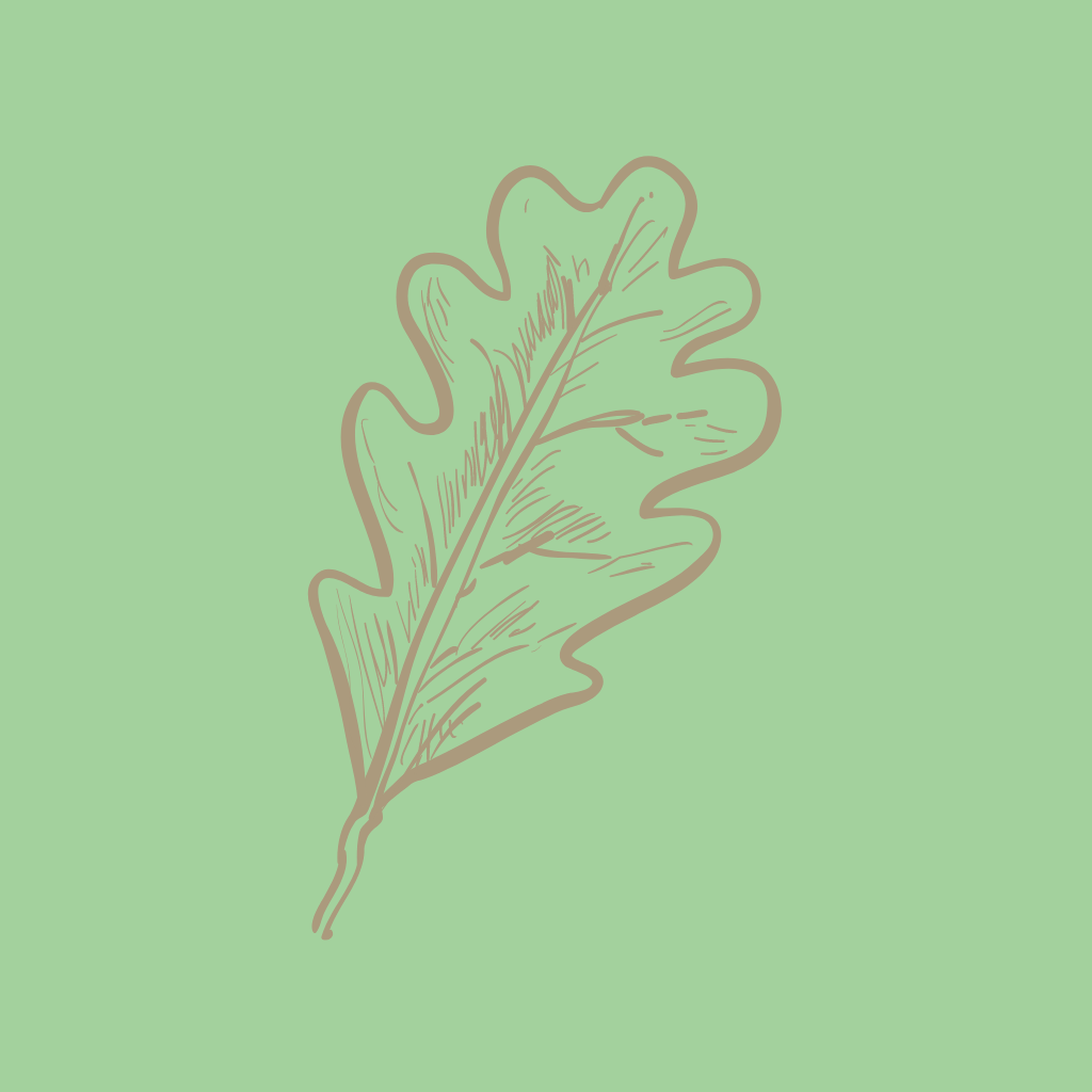 icon of oak leaf